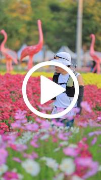 BIB:  <button type="button" onclick="openModal(27583270)" class="btn btn-primary btn-sm float-right" data-toggle="modal" data-target=".modal-high-quality">
                <i class="fa fa-download"></i> Download
                </button>